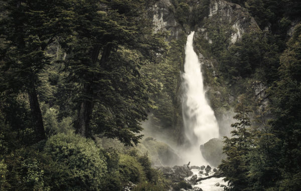 Wild Land: A Journey into the Earth's Last Wilds