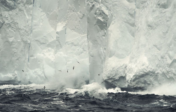 Wild Land: A Journey into the Earth's Last Wilds