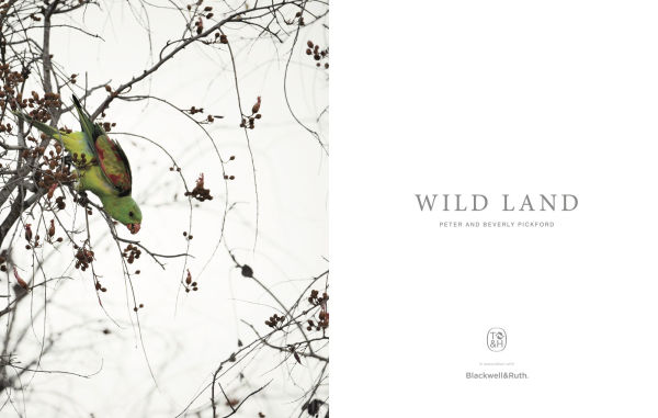 Wild Land: A Journey into the Earth's Last Wilds