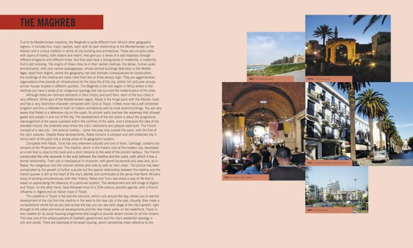 Adjaye: Africa: Architecture: Compact Edition
