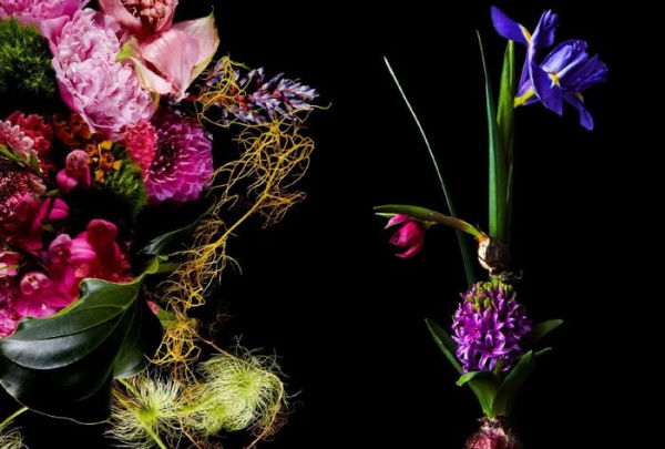 Flora Magnifica: The Art of Flowers in Four Seasons