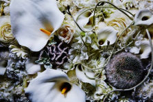 Alternative view 4 of Flora Magnifica: The Art of Flowers in Four Seasons