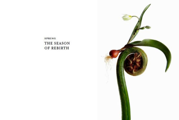 Flora Magnifica: The Art of Flowers in Four Seasons