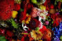 Alternative view 7 of Flora Magnifica: The Art of Flowers in Four Seasons