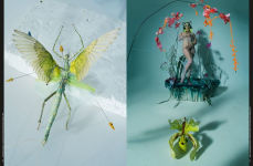 Alternative view 4 of Tim Walker: Shoot for the Moon