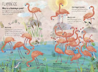 Alternative view 11 of The Big Book of Birds