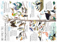 Alternative view 2 of The Big Book of Birds