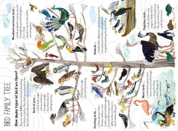 The Big Book of Birds