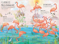Alternative view 4 of The Big Book of Birds