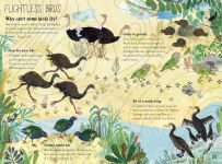 Alternative view 9 of The Big Book of Birds