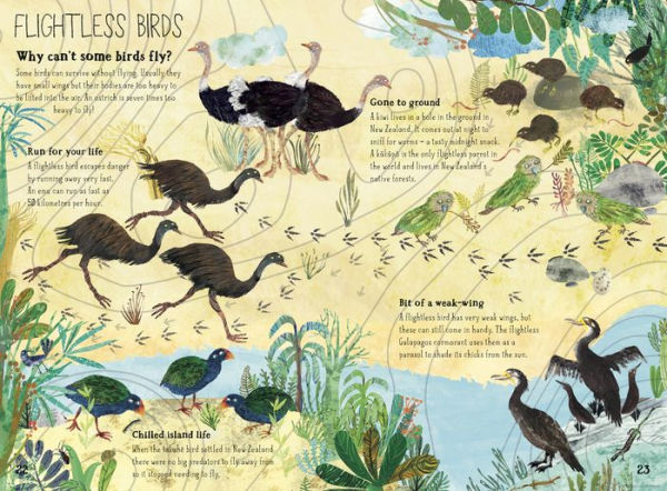 The Big Book of Birds