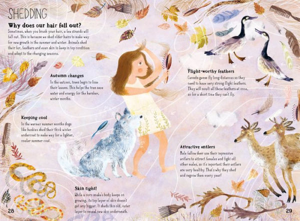 The Big Book of Belonging