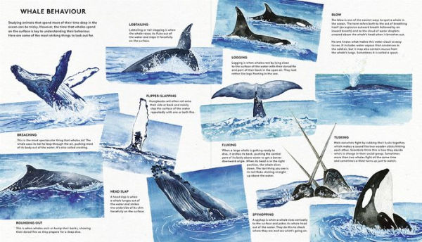 The Secret Life of Whales