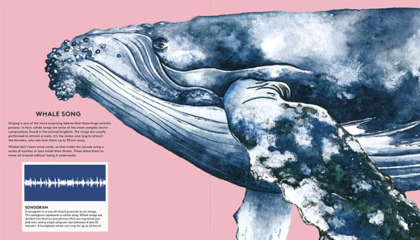 The Secret Life of Whales