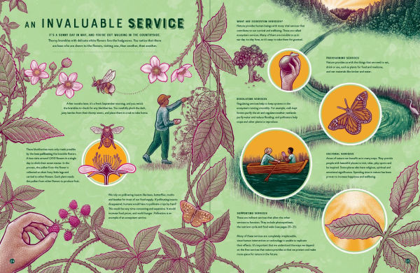 Life: The Wild Wonders of Biodiversity