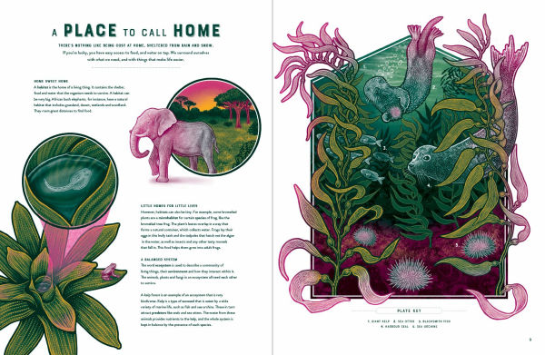 Life: The Wild Wonders of Biodiversity