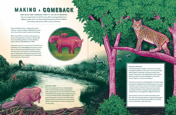 Life: The Wild Wonders of Biodiversity