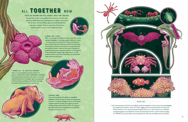 Life: The Wild Wonders of Biodiversity