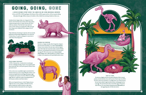 Life: The Wild Wonders of Biodiversity