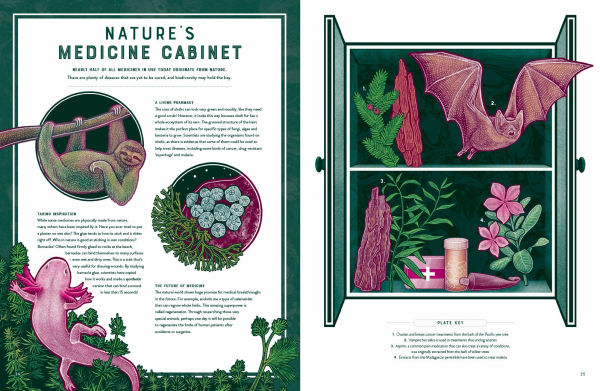 Life: The Wild Wonders of Biodiversity