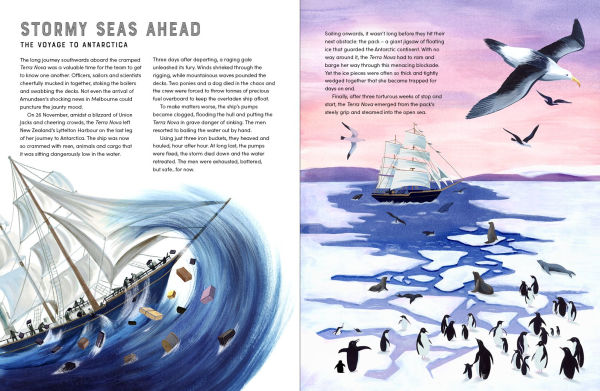 Race to the South Pole: A Two-­Sided Story