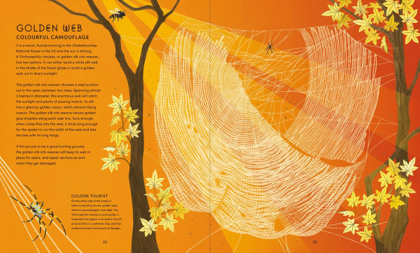 The Secret World of Spiderwebs