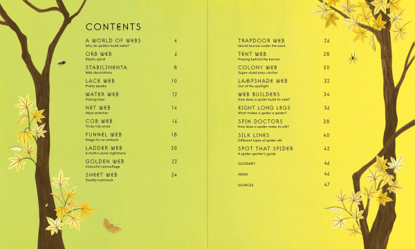 The Secret World of Spiderwebs