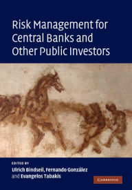 Title: Risk Management for Central Banks and Other Public Investors, Author: Ulrich Bindseil