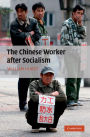 The Chinese Worker after Socialism