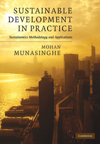Sustainable Development in Practice: Sustainomics Methodology and Applications