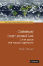 Customary International Law: A New Theory with Practical Applications