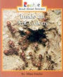 Inside an Ant Colony (Rookie Read-About Science: Animal Adaptations & Behavior)