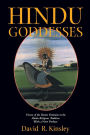 Hindu Goddesses: Visions of the Divine Feminine in the Hindu Religious Tradition / Edition 1