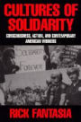 Cultures of Solidarity: Consciousness, Action, and Contemporary American Workers / Edition 1