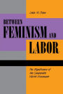 Between Feminism and Labor: The Significance of the Comparable Worth Movement / Edition 1