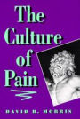 The Culture of Pain / Edition 1