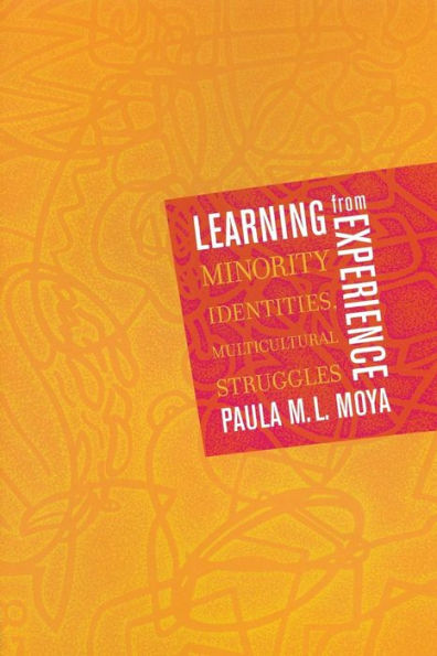 Learning from Experience: Minority Identities, Multicultural Struggles / Edition 1