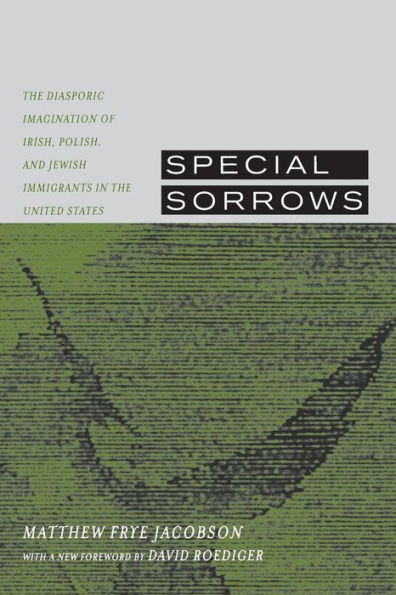 Special Sorrows: The Diasporic Imagination of Irish, Polish, and Jewish Immigrants in the United States / Edition 1