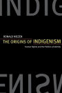 The Origins of Indigenism: Human Rights and the Politics of Identity / Edition 1