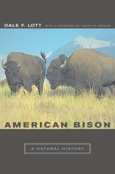 American Bison: A Natural History / Edition 1