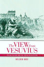 The View from Vesuvius: Italian Culture and the Southern Question / Edition 1