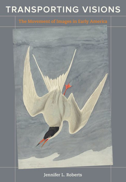 Transporting Visions: The Movement of Images in Early America / Edition 1