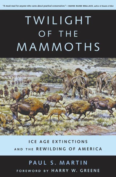 Twilight of the Mammoths: Ice Age Extinctions and the Rewilding of America / Edition 1
