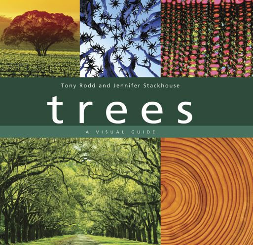Trees: A Visual Guide / Edition 1