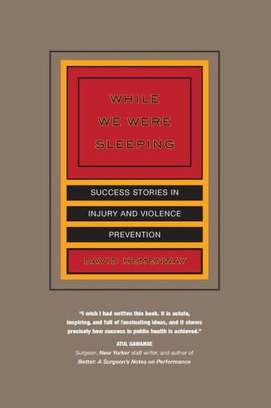 While We Were Sleeping: Success Stories in Injury and Violence Prevention / Edition 1