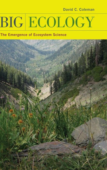 Big Ecology: The Emergence of Ecosystem Science