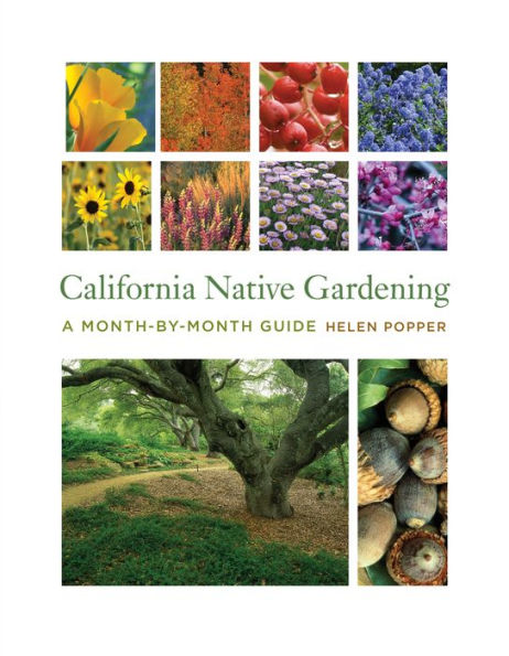 California Native Gardening: A Month-by-Month Guide