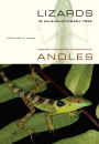 Lizards in an Evolutionary Tree: Ecology and Adaptive Radiation of Anoles / Edition 1