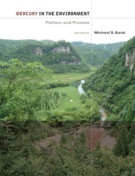 Mercury in the Environment: Pattern and Process