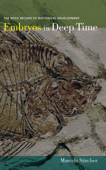 Embryos in Deep Time: The Rock Record of Biological Development